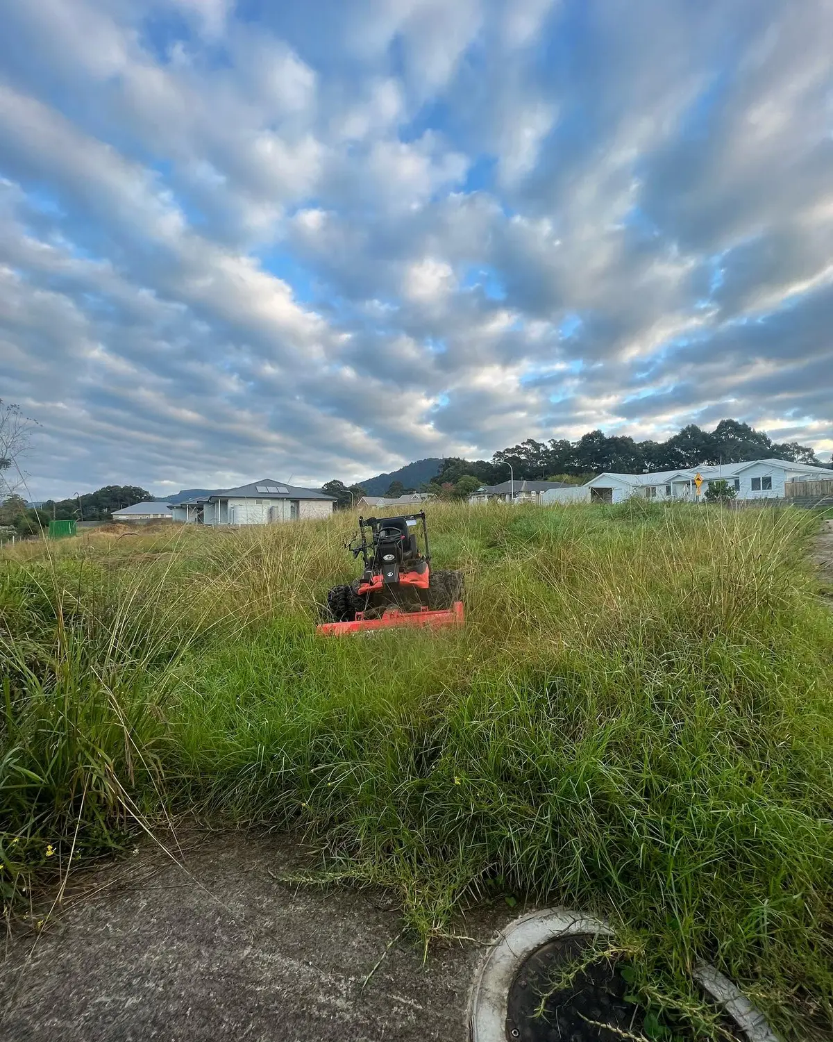 Long overgrown grass on a rural property in the Illawarra before slashing